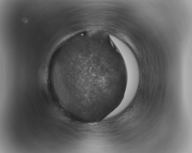 X0000089680724200707051606