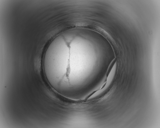 X0000089680725200707051606