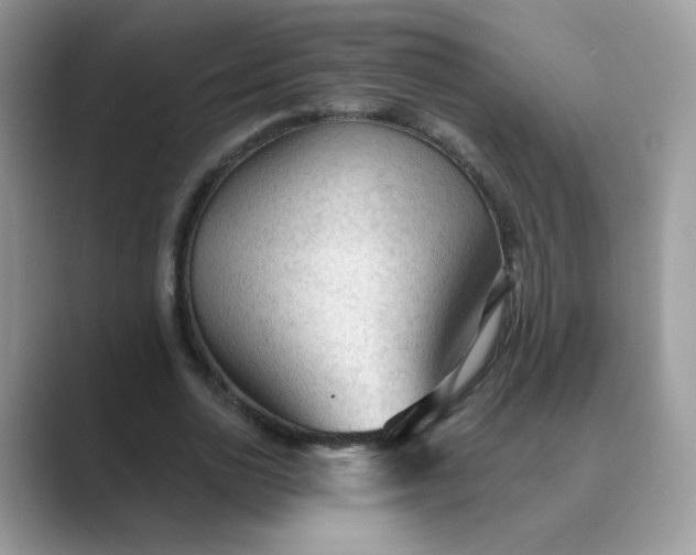 X0000089680726200707051606