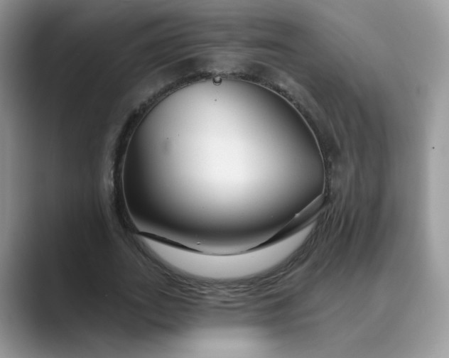 X0000089680727200707051606