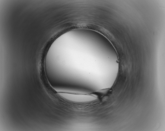 X0000089680728200707051606