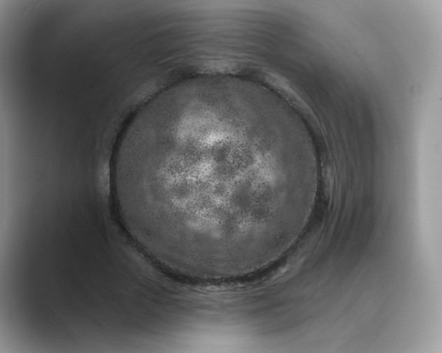 X0000089680729200707051606