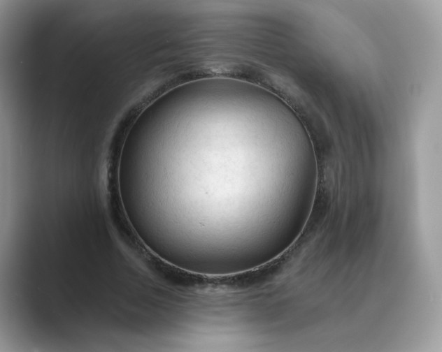 X0000089680730200707051606
