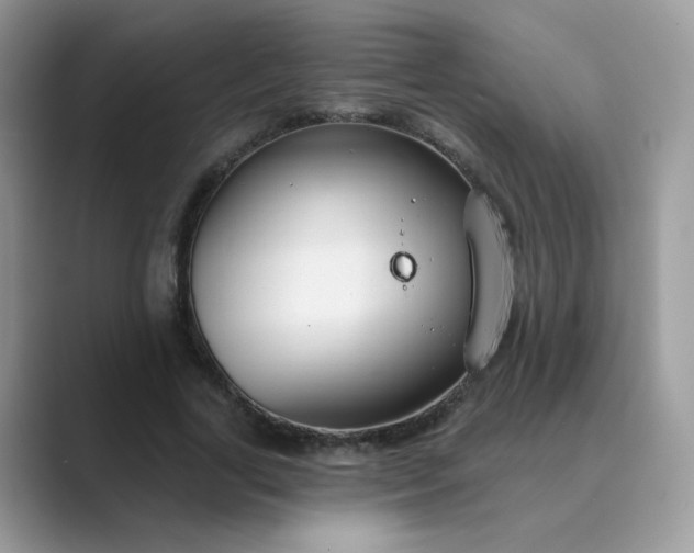 X0000089680731200707051606