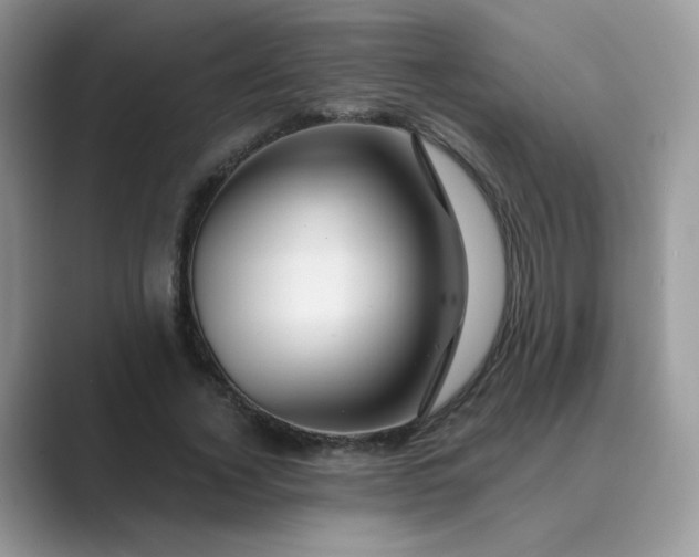 X0000089680732200707051606