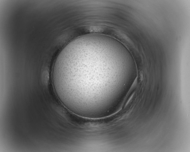 X0000089680733200707051606