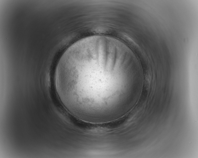 X0000089680734200707051606