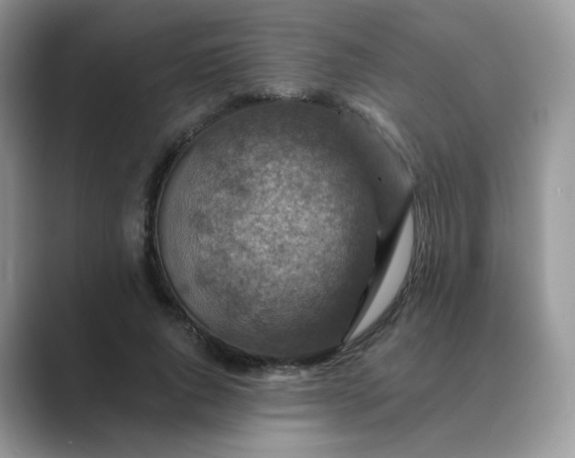 X0000089680736200707051606