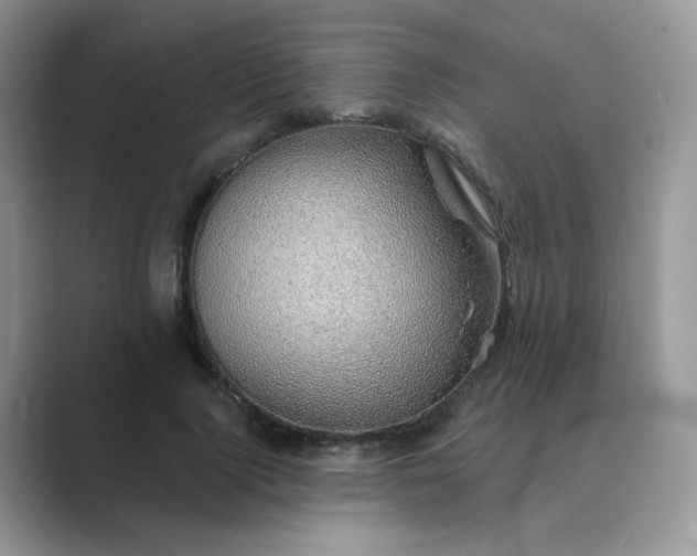 X0000089680740200707051606