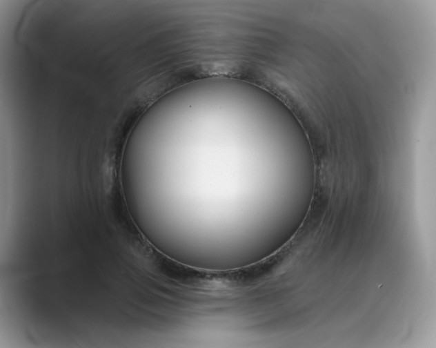 X0000089680741200707051606