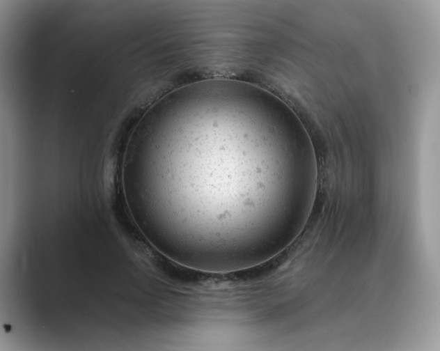X0000089680742200707051606