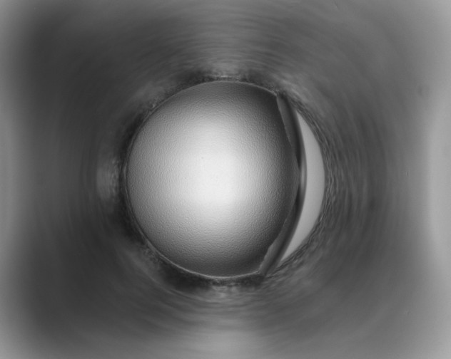 X0000089680744200707051606