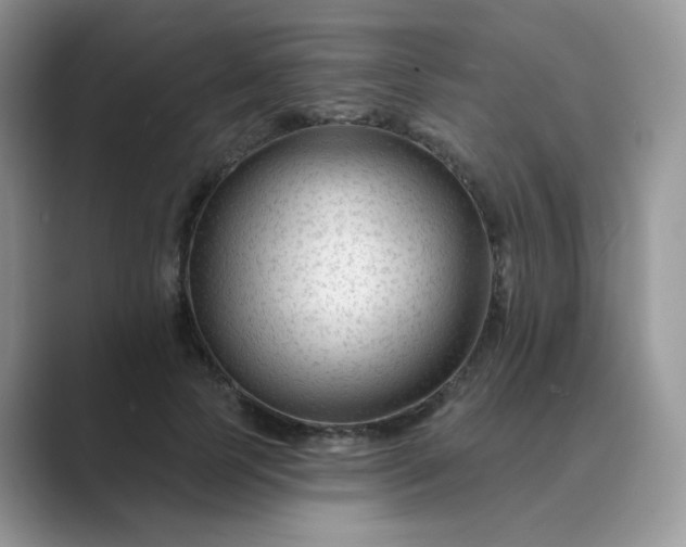 X0000089680745200707051606