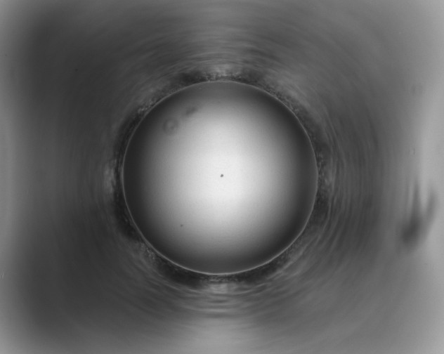 X0000089680746200707051606