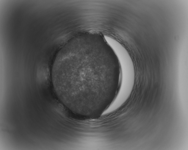 X0000089680748200707051606