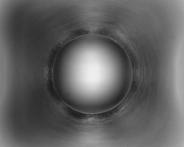 X0000089680750200707051606