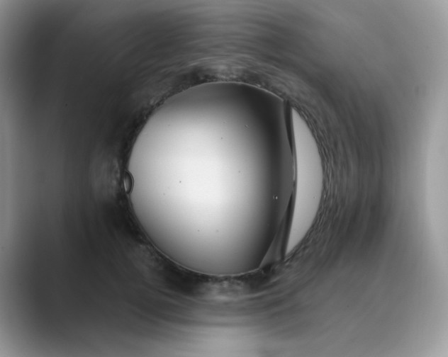 X0000089680752200707051606