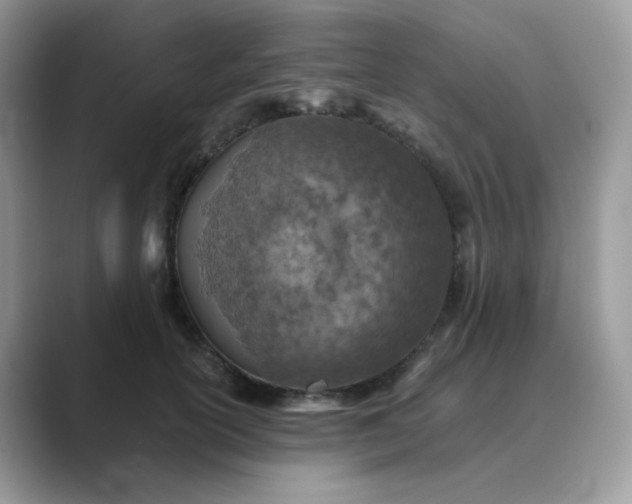 X0000089680754200707051606