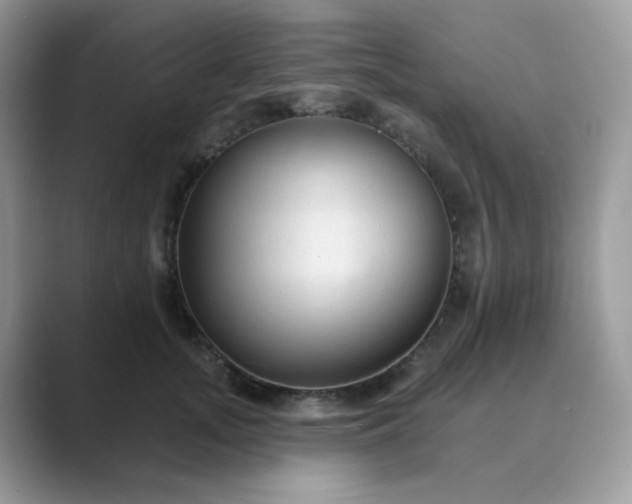 X0000089680755200707051606