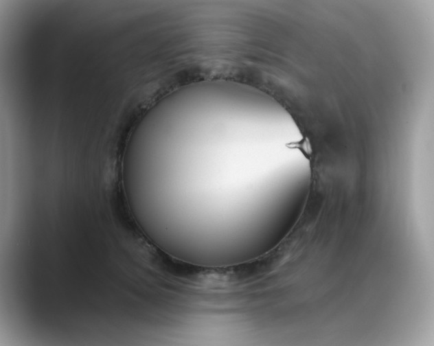 X0000089680756200707051606