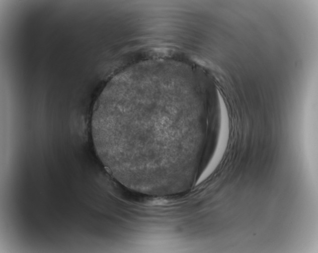 X0000089680759200707051606
