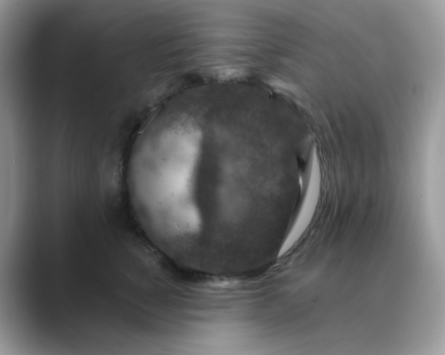 X0000089680760200707051606