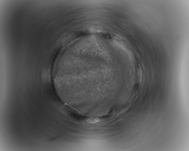 X0000089680762200707051606