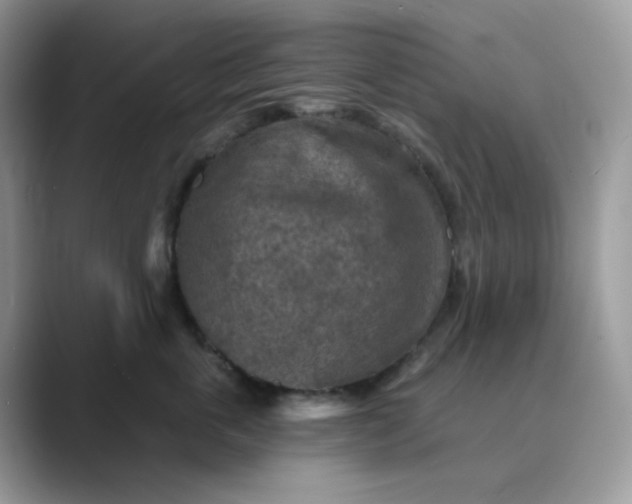 X0000089680763200707051606