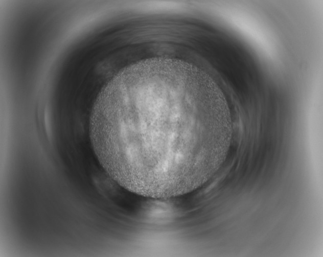 X0000089680765200707051606