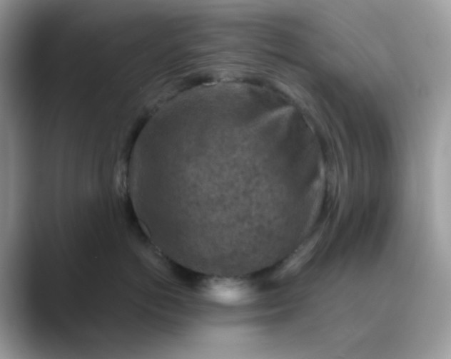 X0000089680766200707051606
