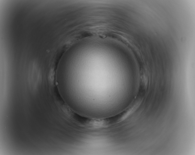 X0000089680767200707051606