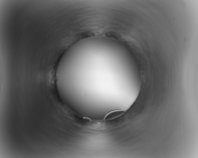 X0000089680768200707051606