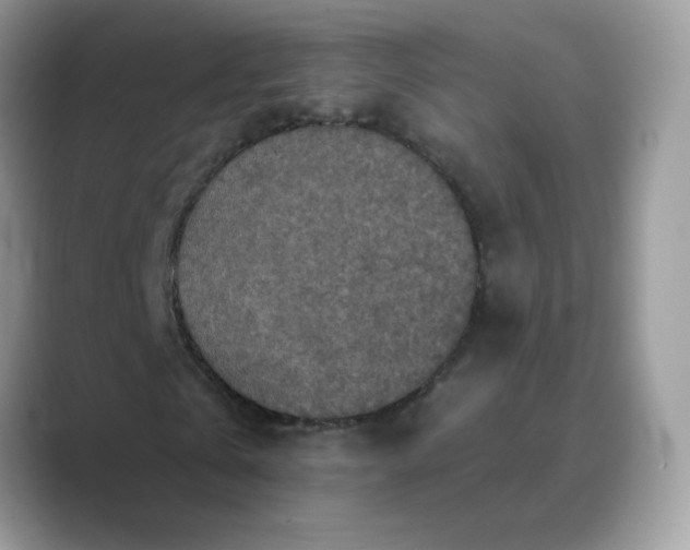 X0000089680769200707051606