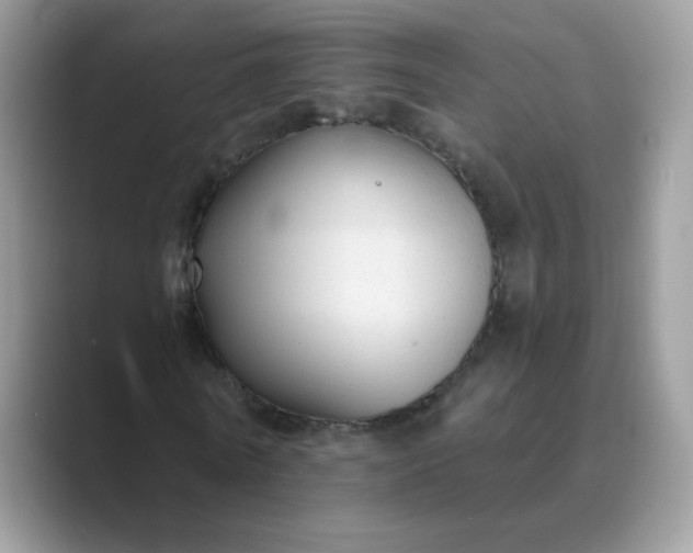 X0000089680770200707051606
