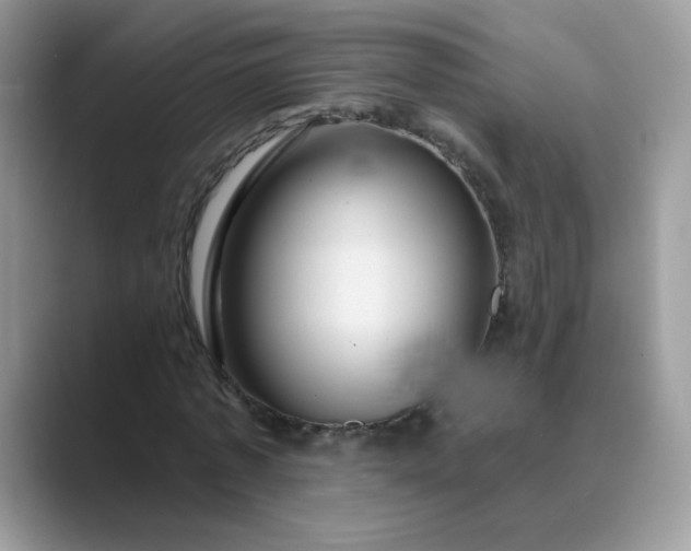 X0000089680773200707051606