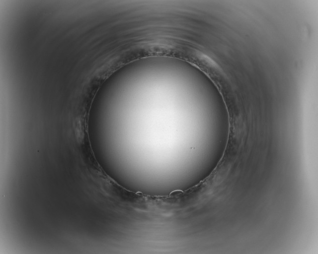 X0000089680774200707051606