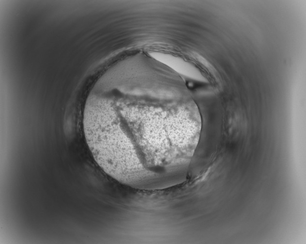 X0000089680775200707051606