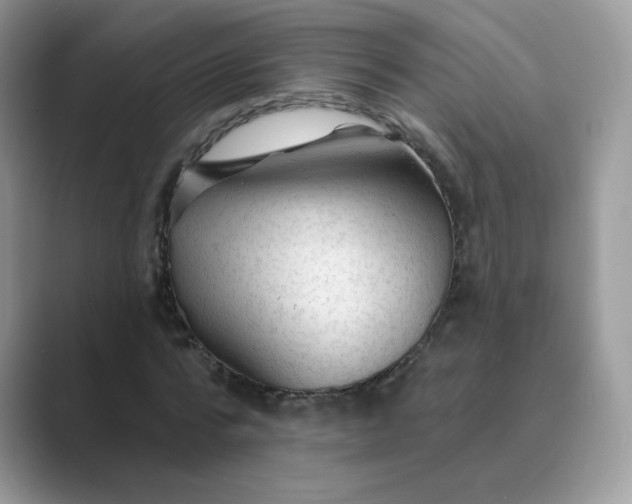 X0000089680776200707051606