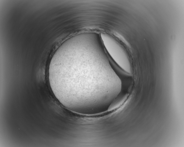 X0000089680777200707051606