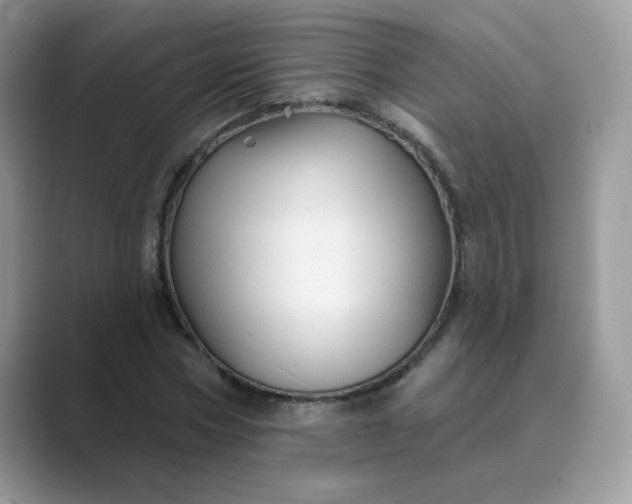 X0000089680778200707051606