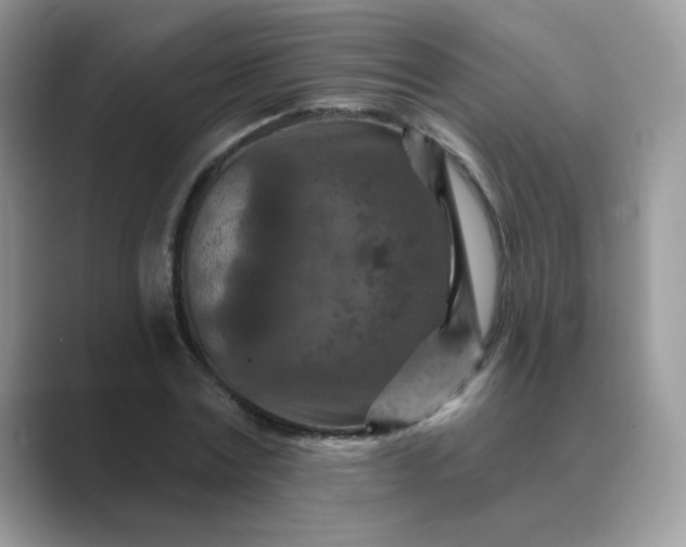 X0000089680779200707051606