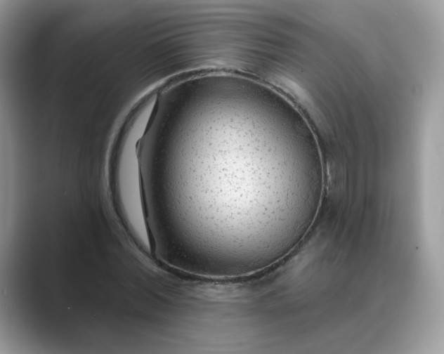 X0000089680780200707051606