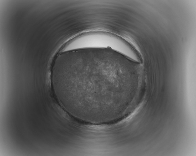 X0000089680781200707051606