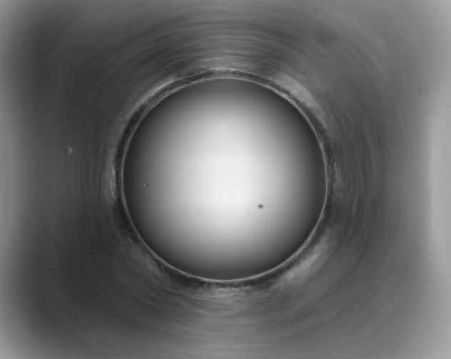 X0000089680782200707051606