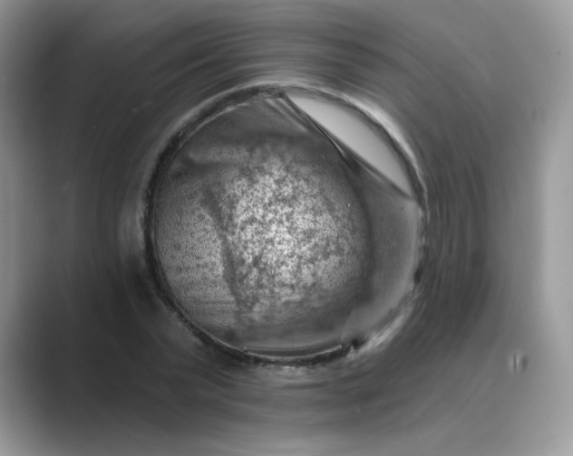 X0000089680783200707051606