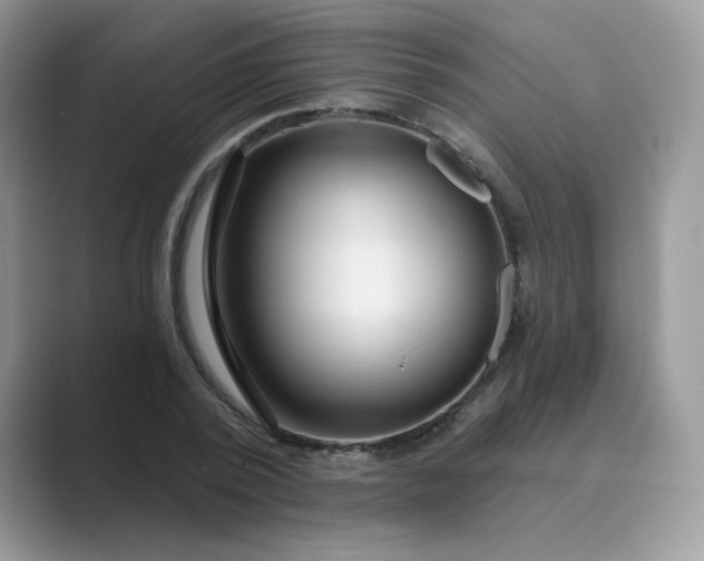X0000089680784200707051606