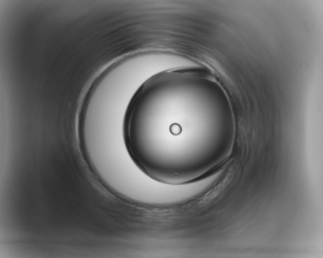 X0000089680788200707051606