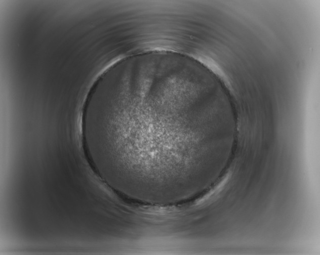 X0000089680790200707051606