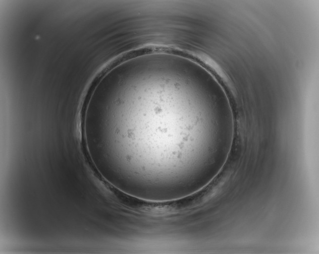X0000089680791200707051605