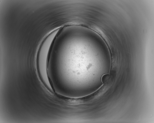 X0000089680795200707051605